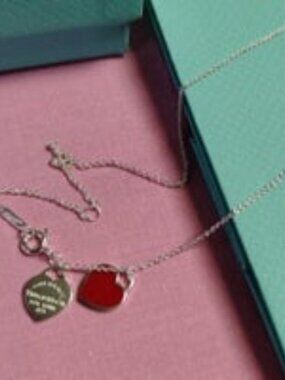 Tiffany & Co. Necklace